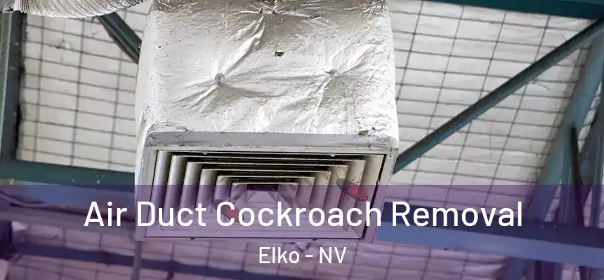 Air Duct Cockroach Removal Elko - NV