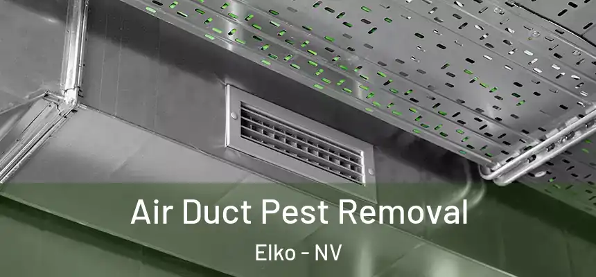 Air Duct Pest Removal Elko - NV
