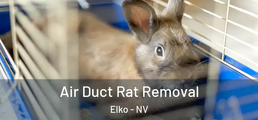 Air Duct Rat Removal Elko - NV