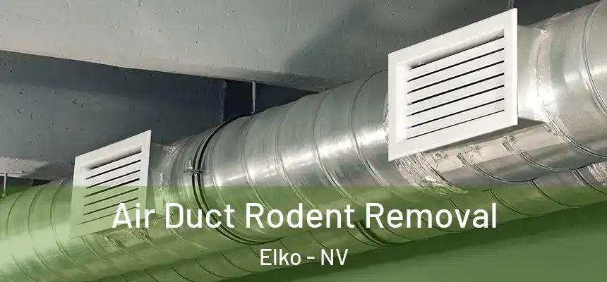  Air Duct Rodent Removal Elko - NV
