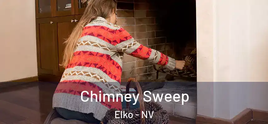 Chimney Sweep Elko - NV