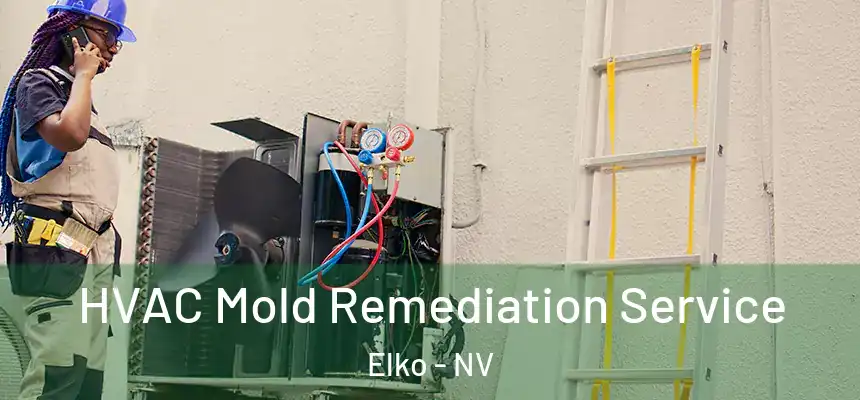 HVAC Mold Remediation Service Elko - NV