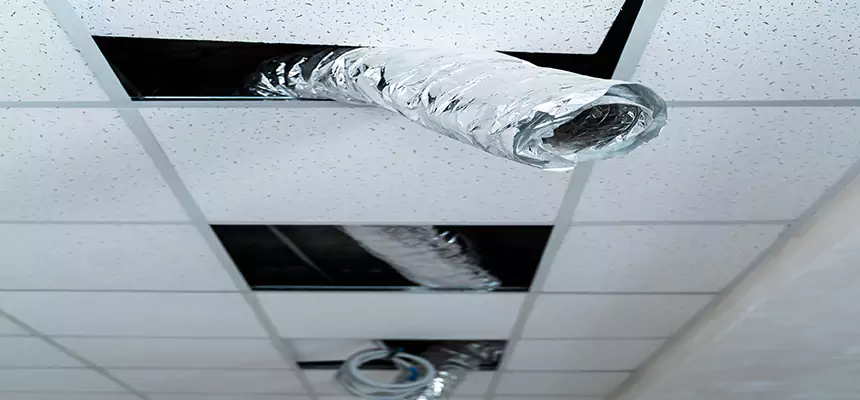 Our Air Duct Pet Hair Removal Services in Elko, NV