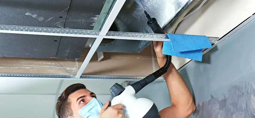 Our Air Duct Rodent Removal Services in Elko, NV