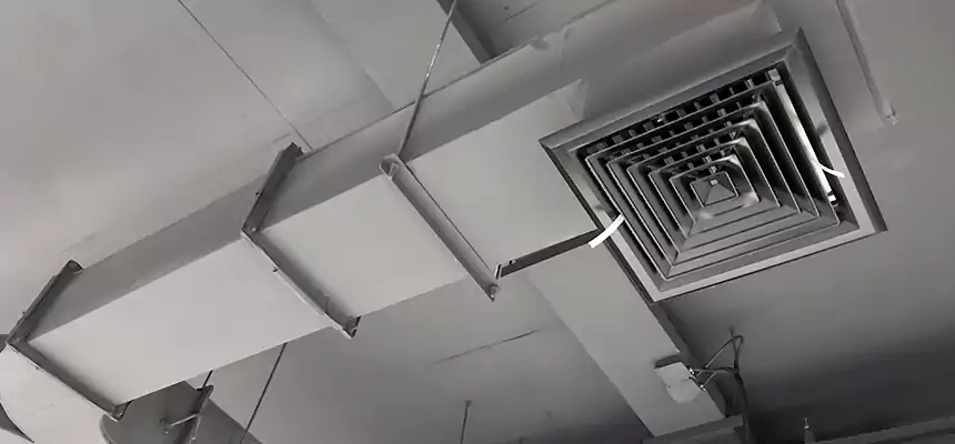 Restorative Allergy Relief Vent Cleaning – Coil, Blower & Housing Detail in Elko