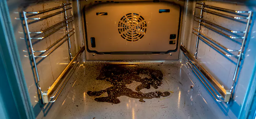 Our Dryer Vent Mold Cleaning Services in Elko, NV