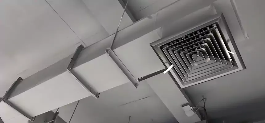 Our Pest Removal From Ducts Services in Elko, NV