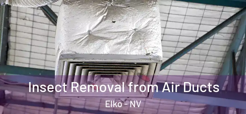 Insect Removal from Air Ducts Elko - NV