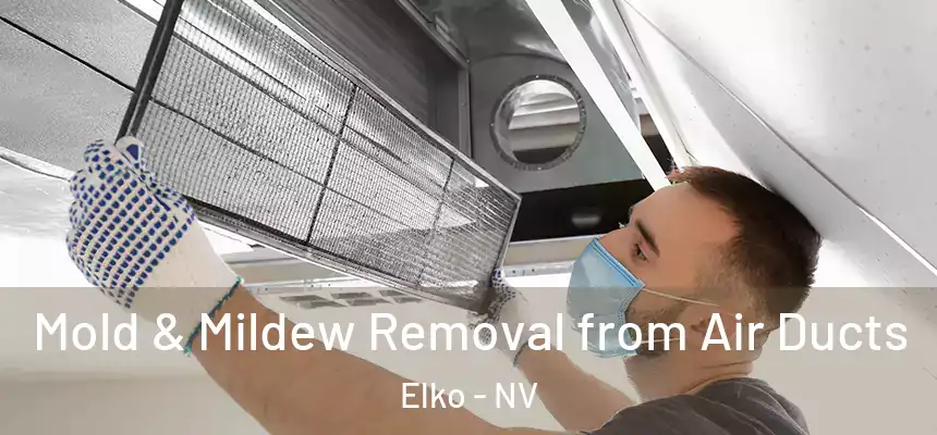 Mold & Mildew Removal from Air Ducts Elko - NV