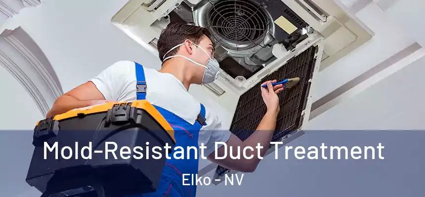 Mold-Resistant Duct Treatment Elko - NV