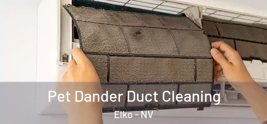 Pet Dander Duct Cleaning Elko - NV