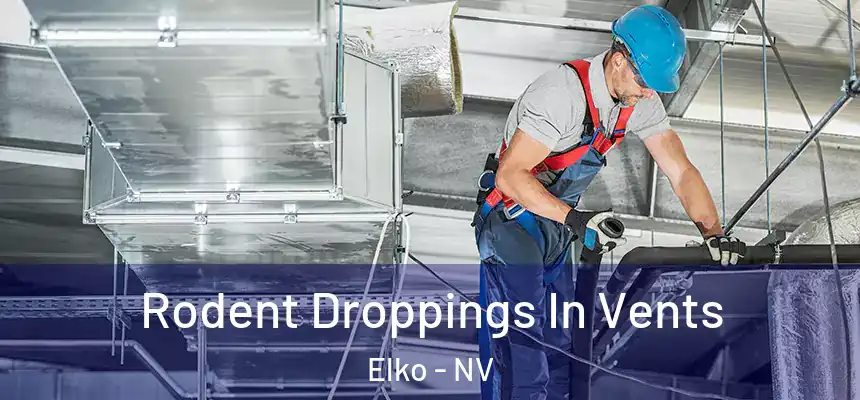 Rodent Droppings In Vents Elko - NV