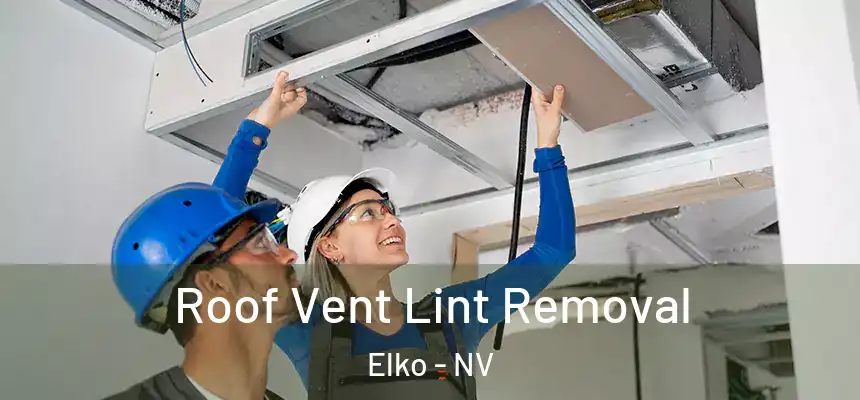 Roof Vent Lint Removal Elko - NV