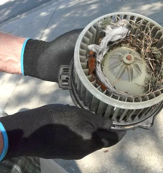 About Air Duct Mice Removal in Elko, NV