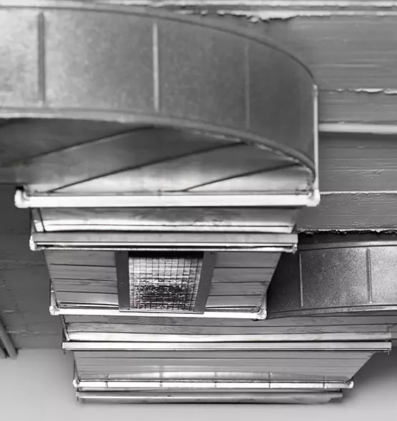 Professional Air Duct Pet Hair Removal in Elko, NV