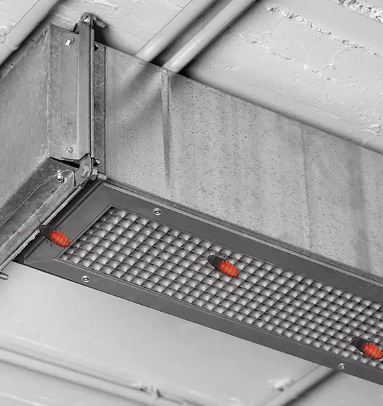 Affordable Insect Removal from Air Ducts in Elko, NV