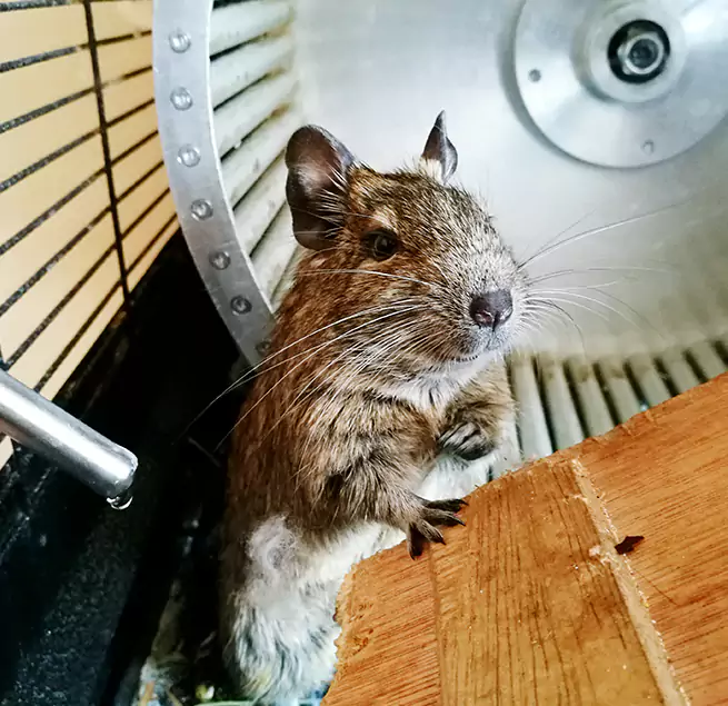 Why Homeowners & Businesses Trust Us Elko, NV