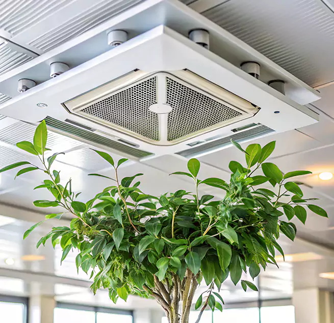 Why Homeowners & Businesses Trust Us in Elko, NV