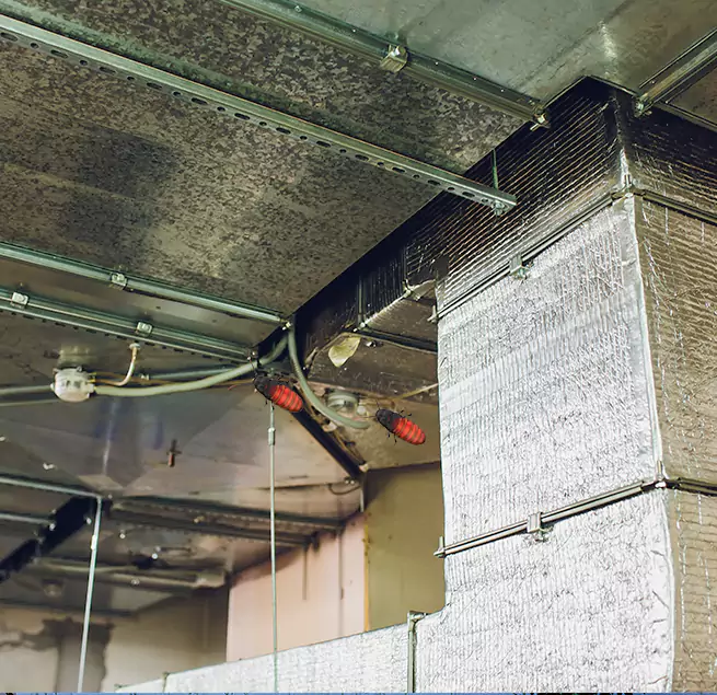 Why Homeowners & Businesses Trust Us Elko, NV?