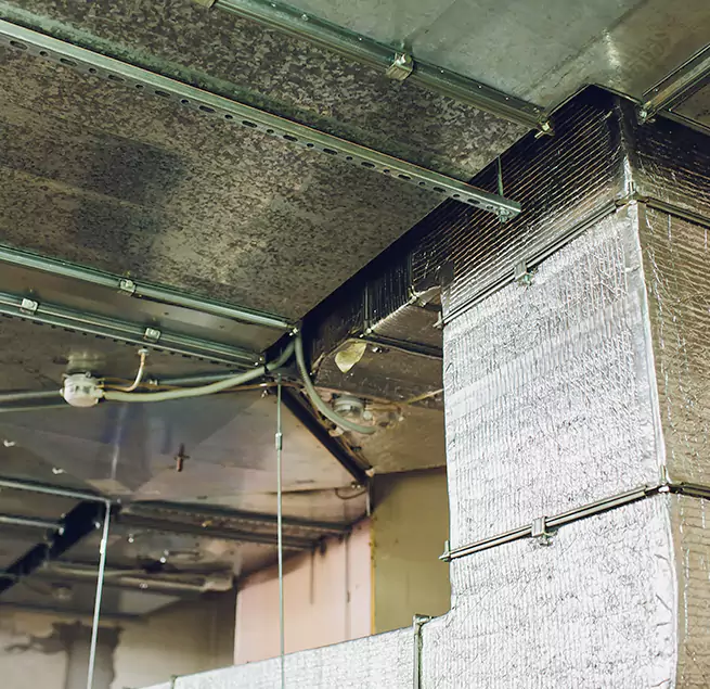 Why Homeowners & Businesses Trust Us in Elko, NV?