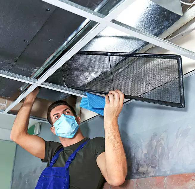 Why Homeowners Businesses Trust Us in Elko, NV